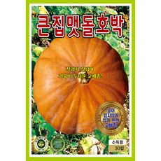 호박 씨앗 모음 종자 맷돌 쥬키니 미니꿀, 2개