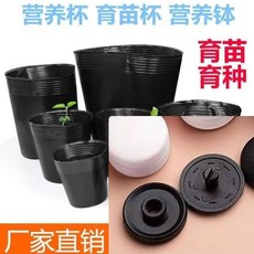 블루베리 화분 모종 화분 일회용 포트 묘목 컵 포트 비닐, 1개