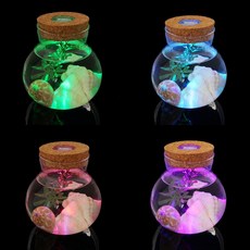 마음을끄는잡화점 마리모 키우기 LED 코르크 유리병 10x11cm 마리모키우기 유리병LED