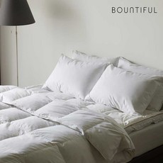 2+2 호텔침구 구스다운 베개솜 1000g 2개+베개커버2장, 1000g2개+솔리드화이트베개커버2장, 1개