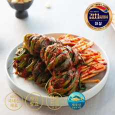 [남현김치] 국내산 쪽파로 담근 수제 파김치 / 전통 숙성, 1kg, 1개