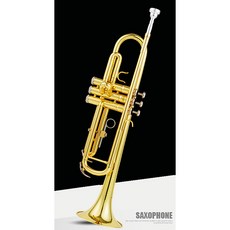 입문용 트럼펫 B플랫 3음 연습용 트럼펫용 나팔 케이스 C톤 관악기, 골드 표준형 점장, 1개