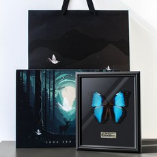 나비표본상자 곤충 박제 투명 교육용 액자 상자, 드림 버터플라이 (10인치)