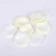 꽃잎 컨페티 아이보리 100장 웨딩사진촬영 셀프웨딩촬영