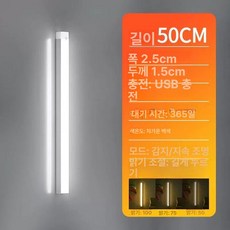 무선센서등 UB15 조명 현관센스등 계단등 피규어 화장실 간접조명 벽 간접 계단 충전식등 충전식 조명기구 제품, 3.A20-30CM 백색광 [특가] 1개