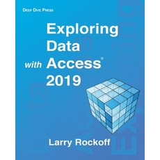 Exploring Data with Access 2019 Paperback, Deep Dive Press, English, 9780578810256