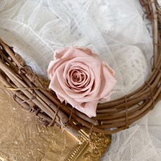 大地農園永生玫瑰 裸色奶茶色系 求婚花束 永生花批發 乾燥花色系, p-裸摩卡