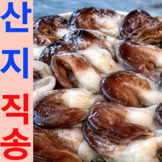 [1.2kg손질200g] 여수 자연산 손질 새조개, 1박스, 200g(특품)