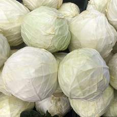 깐 양배추 손질 신선 식자재 채소, 1박스, 3kg