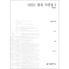 왕유 시전집 5(큰글씨책):이념시, 지식을만드는지식, 왕유 저/박삼수 역
