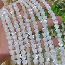 6mm 天然深海馬蹄螺貝殼五角星直孔手工DIY材料配件, 1個, 6mm/條（約67顆）