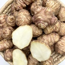 국산 햇 생 돼지감자 뚱딴지, 1개, 돼지감자 1kg