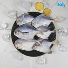 국내산 내장손질 여수 참병어 덕자, 1개, 500g (4-6미)