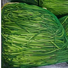 청담농수산 경남 국내산 마늘쫑, 1개, 3kg (정품)