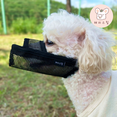 해리스힐 초경량 원버튼 메쉬 입마개 XXS, 1개, 모던블랙