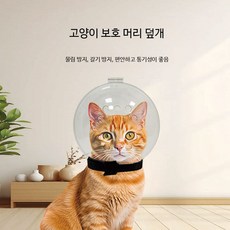 고양이 머리 보호대 우주복 통기성 물림 핥기, 2개, B_2개 세트 안전 보호 투명 통기