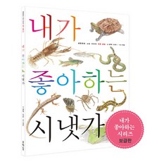 我喜歡的小溪, 南瓜花