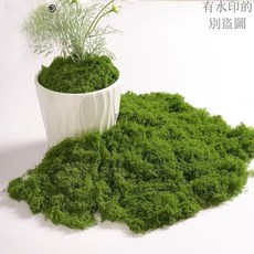 仿真草坪 仿真苔蘚造景假青苔毛線草皮綠植微景觀植物裝飾人造仿生草坪鋪面, 雪白色苔蘚小樣-可開發票-找客服,仿真苔蘚絲/限時廠價批發, 1個