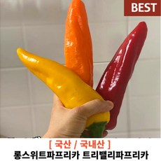 [국내산/국산] 고당도 롱스위트파프리카 트리밸리파프리카 바나나파프리카 가락시장 직배송 긴파프리카 트리벨리, 1박스, 1kg