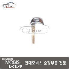 블랭킹 PIC 키 81996 GX000