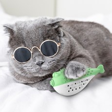 貓咪牙刷玩具 - 寵物用品工廠批發 逗貓磨牙玩具, 綠白, 1個