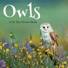Owls A No Text Picture Book: A Calming Gift for Alzheimer Patients and Senior Citizens Living With ... Paperback, Independently Published, English, 9798720742270