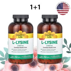 1+1 컨트리라이프 L 리신 1000mg 250정 라이신 피리독신 염산염 콜린 전해질, 2개