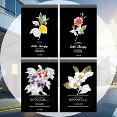 모닝글로리 수채화종이 보테니컬 랜덤1개 아트패드 수채전용패드 보테니컬수채패드 드로잉패드 수채화패드 보테니컬패드