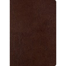 (영문도서)ESV Single Column Journaling Bible Large Print (Mocha) Bonded Leather, Crossway, English, 9781433555381