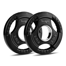 Yes4All 역도 및 근력 훈련을 위한 웨이트 플레이트 그립 고무 코팅 주철 - 1.1kg(2.5파운드) 한 쌍 263768, 2.5lb, Pair