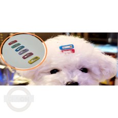 마스온 강아지 사각 똑딱핀 5P 요크셔
