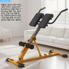 리핀247 노르딕컬 운동 햄스트링 대퇴이두 홈트, 골드 분리형 접이식 470x1070x435mm