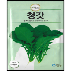 동오시드 청갓 씨앗 진녹색 갓 김치용 쌈채소 갓씨앗 재배용 2000립, 1개