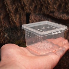 클린케이스 미니 소형 곤충사육통 채집통 달팽이집 사슴벌레집 장수풍뎅이집, 사마귀 키우기 - 미니사이즈, 1개