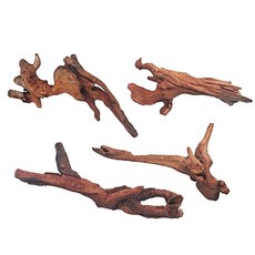 FUNOJOY 수족관 장식용 천연 유목 장식 파충류 수조 액세서리 어항의 다양한 나무 가지 장식 5.1-25.4cm2-10인치 2개/4개/5개/6개6개 팩 5.1~10.2c, 4개 팩 (12.7~20.3cm(5