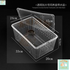 本町萌寵 台灣出貨 爬蟲飼養盒蠶寶寶爬寵飼養箱蜘蛛守宮蜥蜴蜈蚣甲蟲角蛙兩棲烏龜缸 E8wU, 透明加大號飼養盒送水盆, 1個