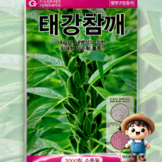 그린하트바이오 태강참깨 3000립 참깨 펠렛 코팅 채소 씨앗 종자 그린하트바이오