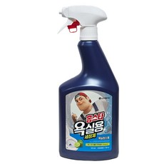 홈스타 욕실용 세정제, 750ml, 1개