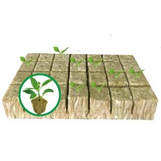 MI0512 수경재배용 3.8cm(1.5인치) Rockwool 스타터 플러그 성장 큐브 28개의 플러그 1장 (스몰), Small