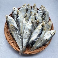 울돌목 국물용 디포리 밴댕이 1.5kg 육수용, 1개, 상급 디포리 ( 7~9cm)