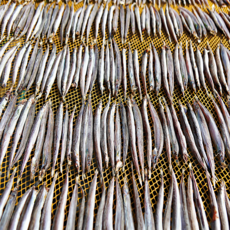 [ 강릉 양미리 ] 동해안 자연산 양미리 국내산 반건조 20미 40미, 1개