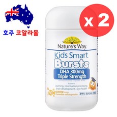 네이쳐스웨이 키즈스마트 DHA 300mg 50정 x2개 NATURES WAY, 2개