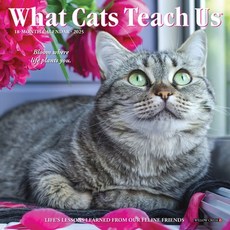 (英文圖書)What Cats Teach Us 2026 7 X 7 Mini Wall Calendar Spiral, Willow Creek Press Calendars, 英文, 螺旋裝訂