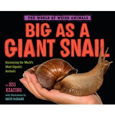 Big as a Giant Snail Hardcover, Alfred A. Knopf Books for Y..., English, 9780593300848