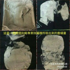 高雄 居家專業除塵蟎 屏東台南嘉義都有服務, 1個