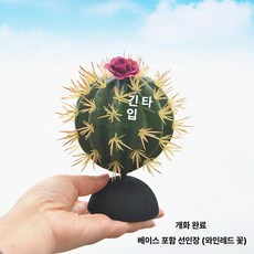 머스코 자동차 선인장모형 안테나 볼 장식용품, 와인레드 플라워 선인장 받침대 포함