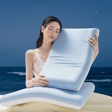Paradoma 베개 메모리폼 베개 경추베개 옆으로자는 깊은잠 베개 사계절용 베개 베개커버 포함, 1개, 파란색