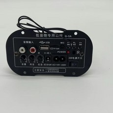 功放板 音響 大功率雙話筒插口 車載低音炮, 【12v24v220v通用】小面板