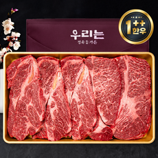 우리는정육가든 1++ 등급 한우 구이용 꽃등심 등심 소고기 모듬 세트 600g, 1개