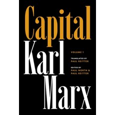 (영문도서) Capital: Critique of Political Economy Volume 1 Hardcover, Princeton University Press, English, 9780691190075